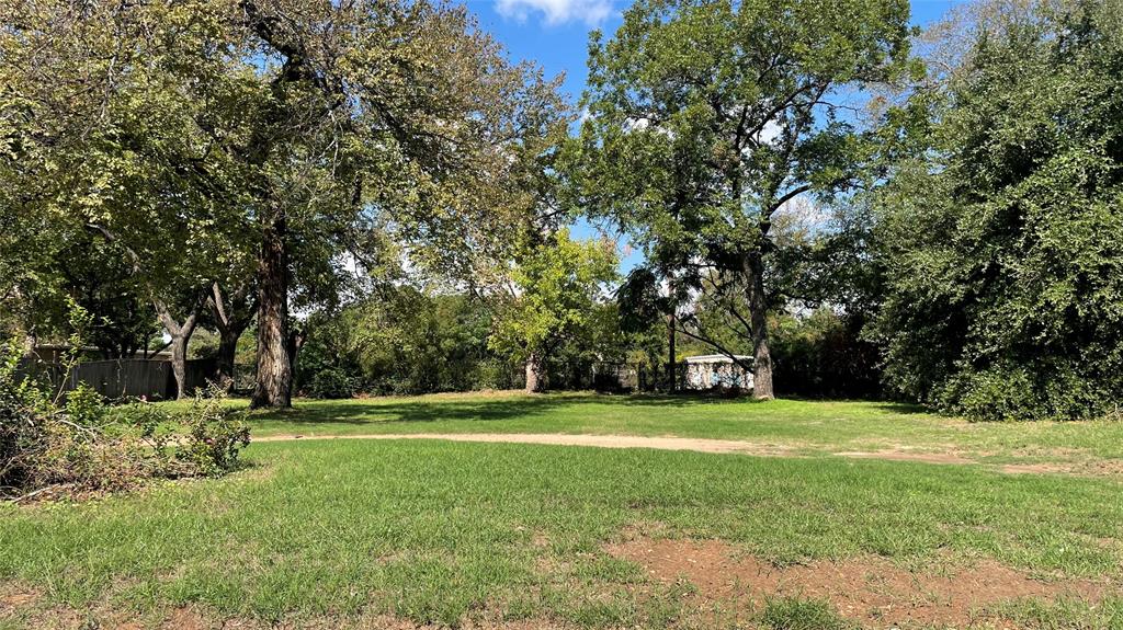 a view of a park with large trees