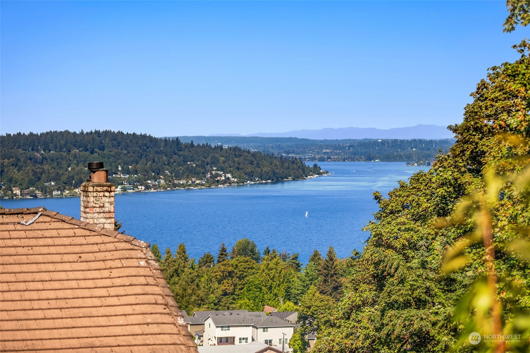 a view of a lake with a city