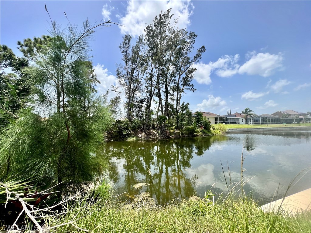 a view of a lake from a yard