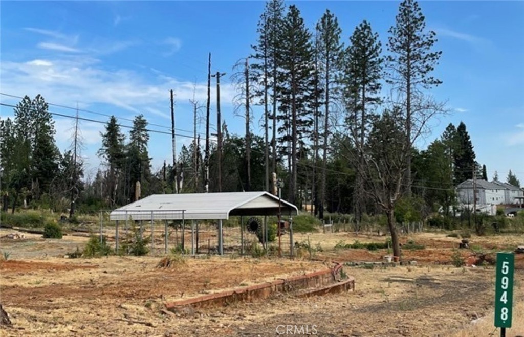 a view of a outdoor space with lots of trees