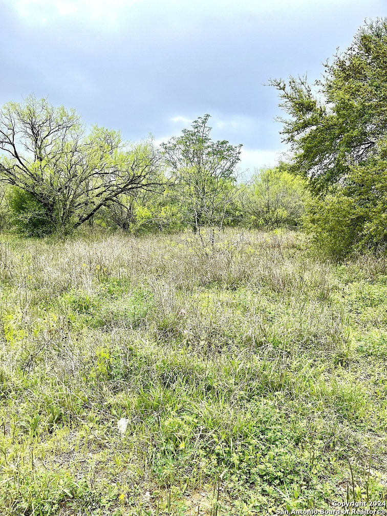 a view of a garden