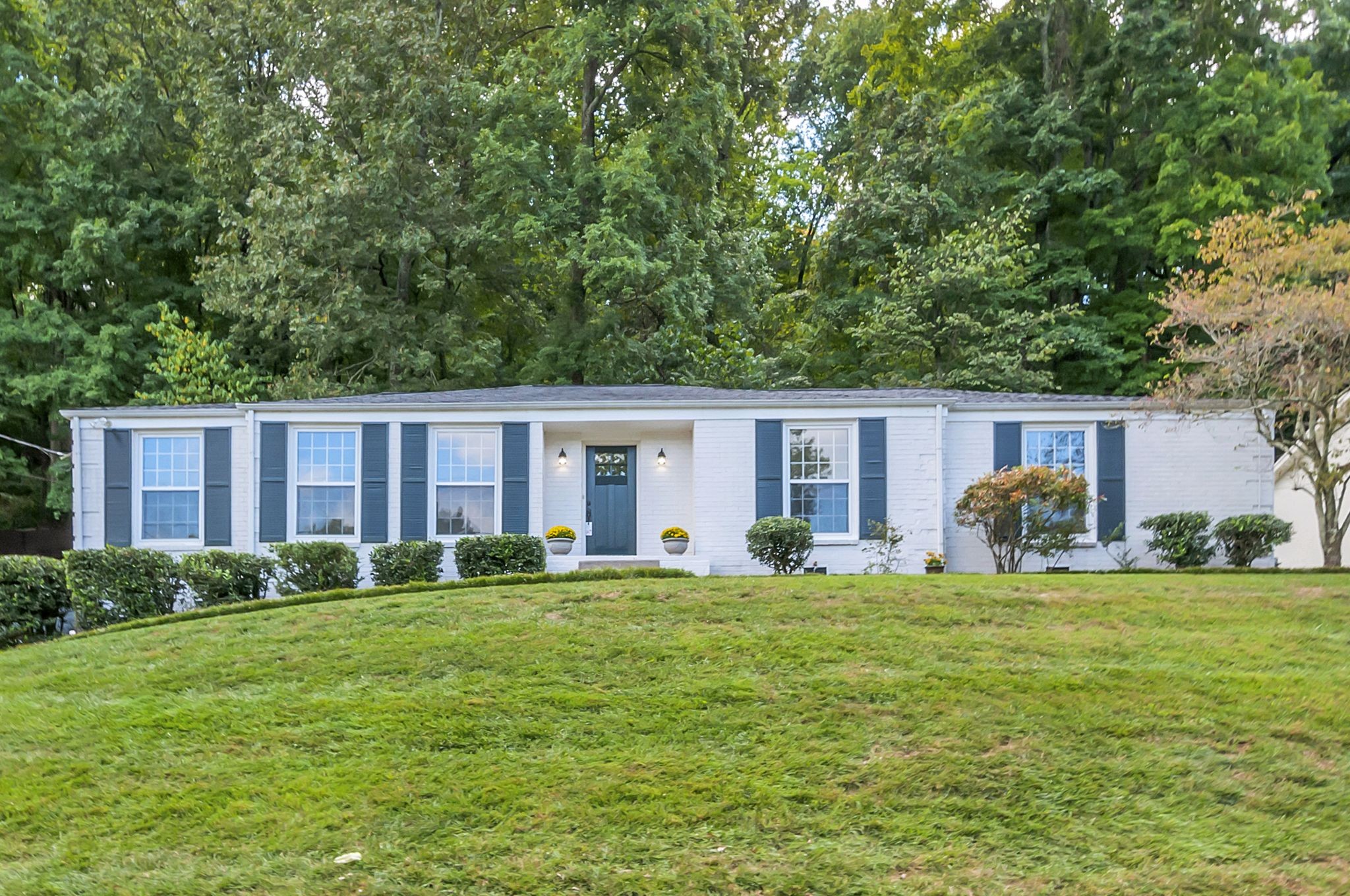 a front view of house with yard and green space