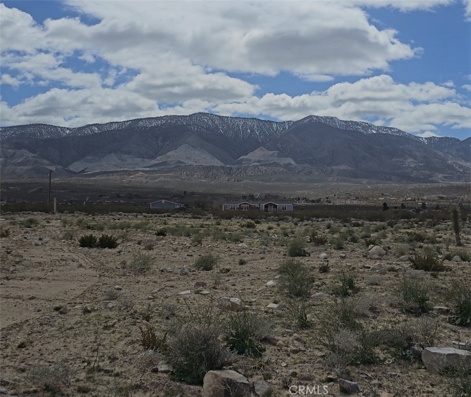 a view of a yard with a mountain