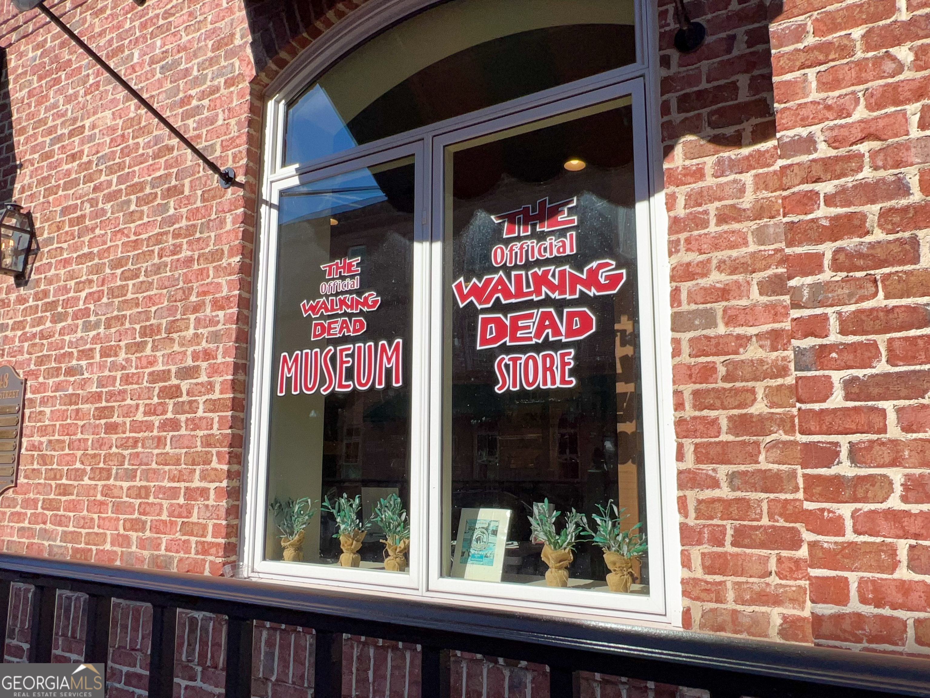 The Walking Dead Store - Senoia Historic Downtown Community - 1 tip