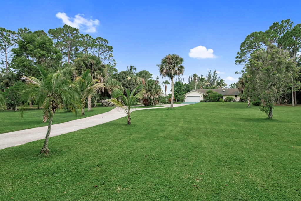 a view of a golf course with a tree