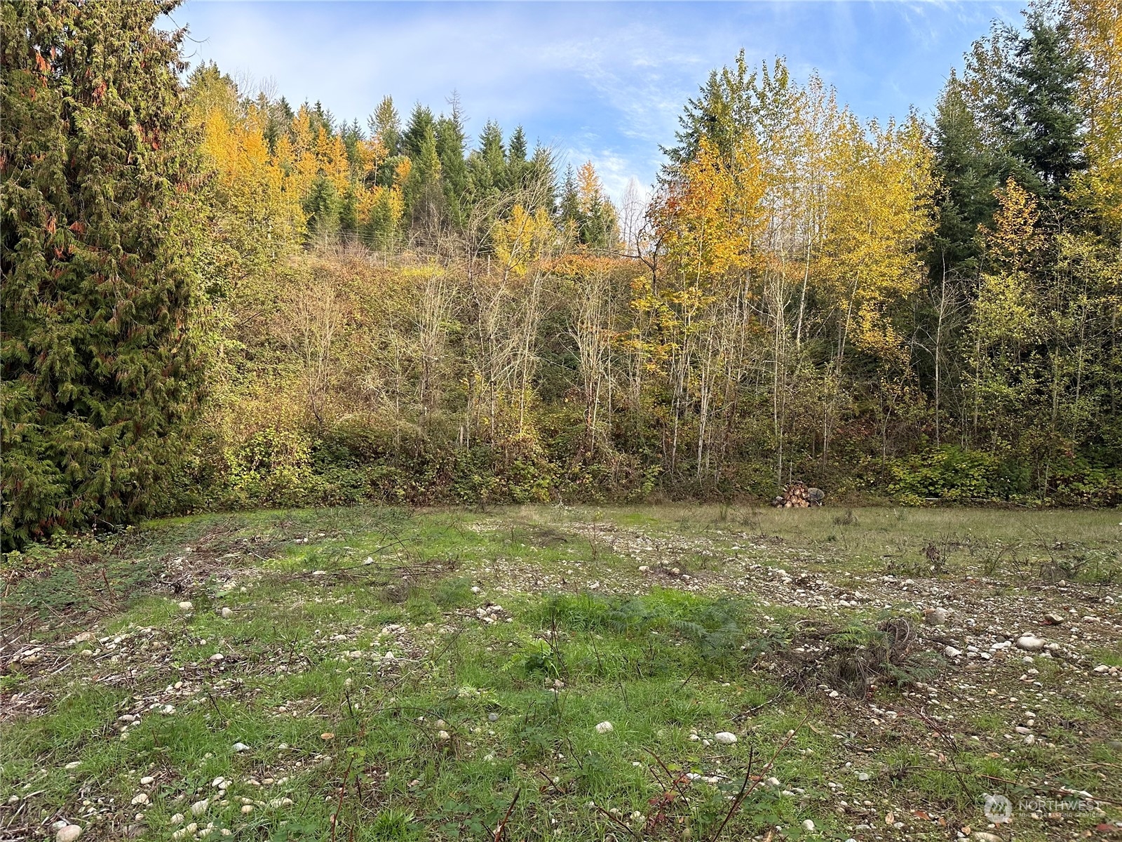 a view of a field with trees in the background