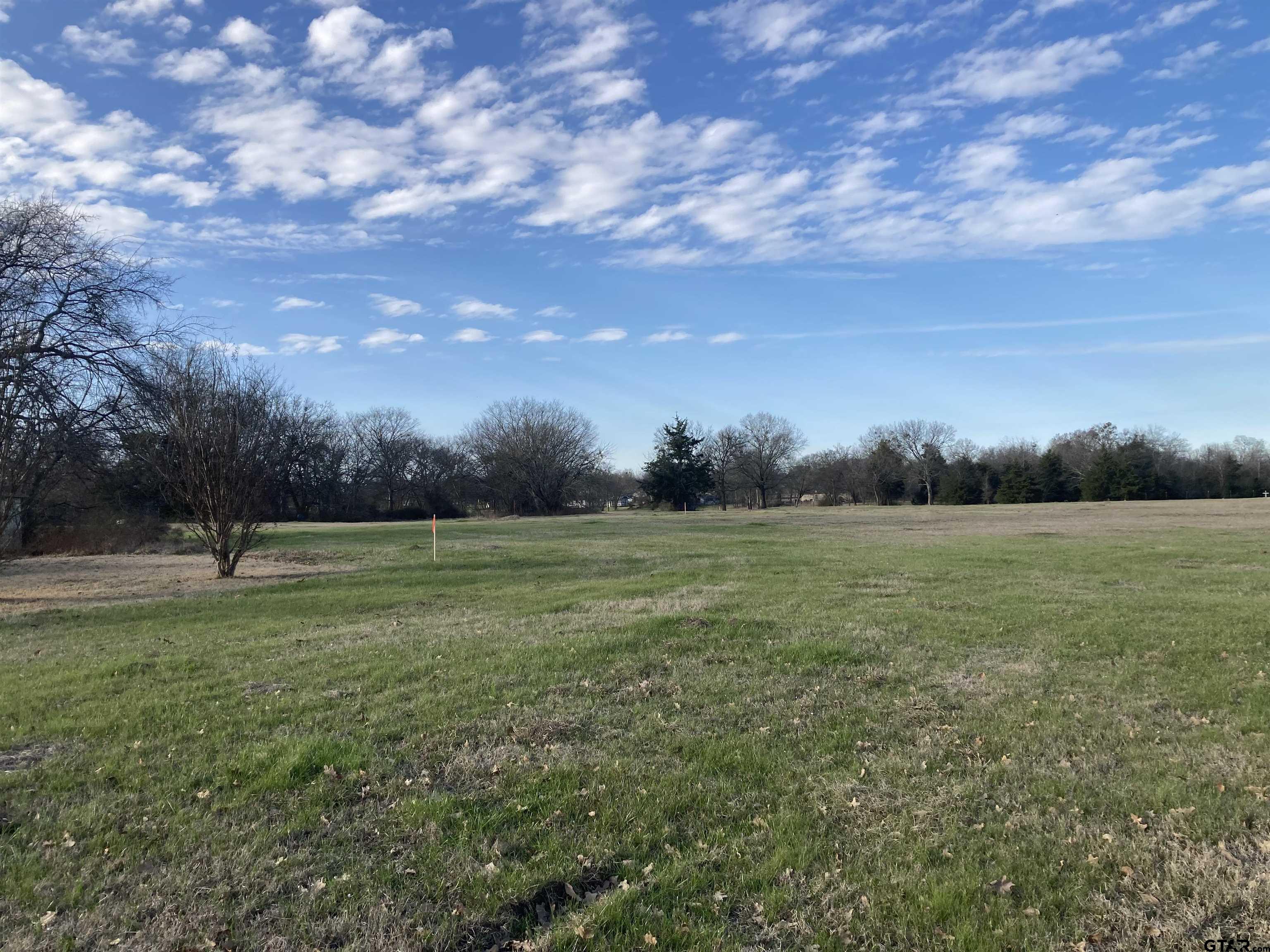 a view of field with trees in background