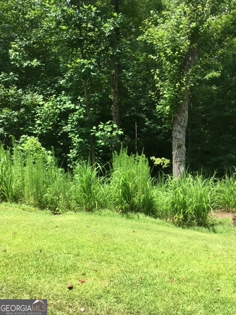 a view of backyard with green space