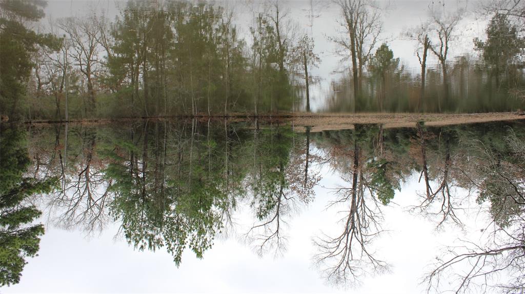 a view of lake with a tree