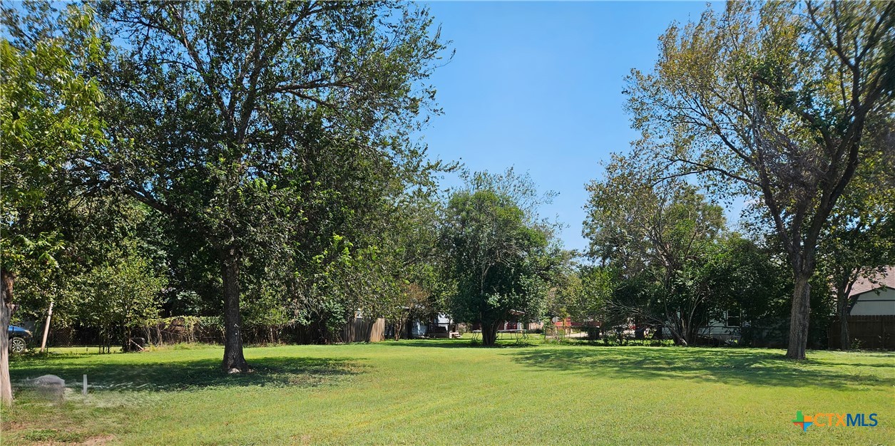 a view of a park with large trees