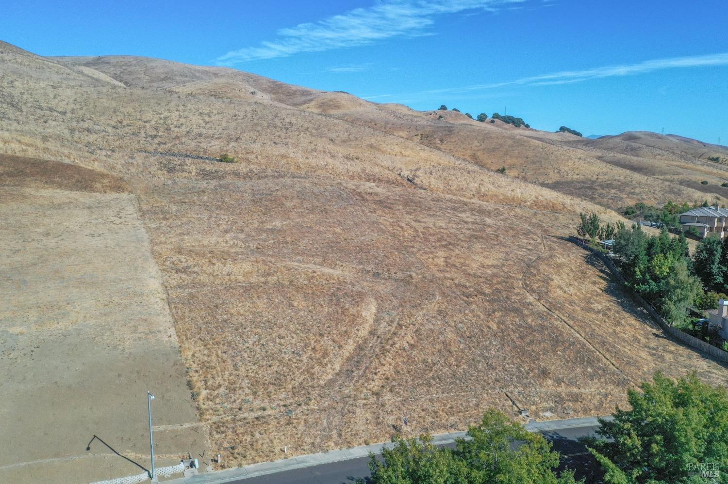 a view of a dry yard