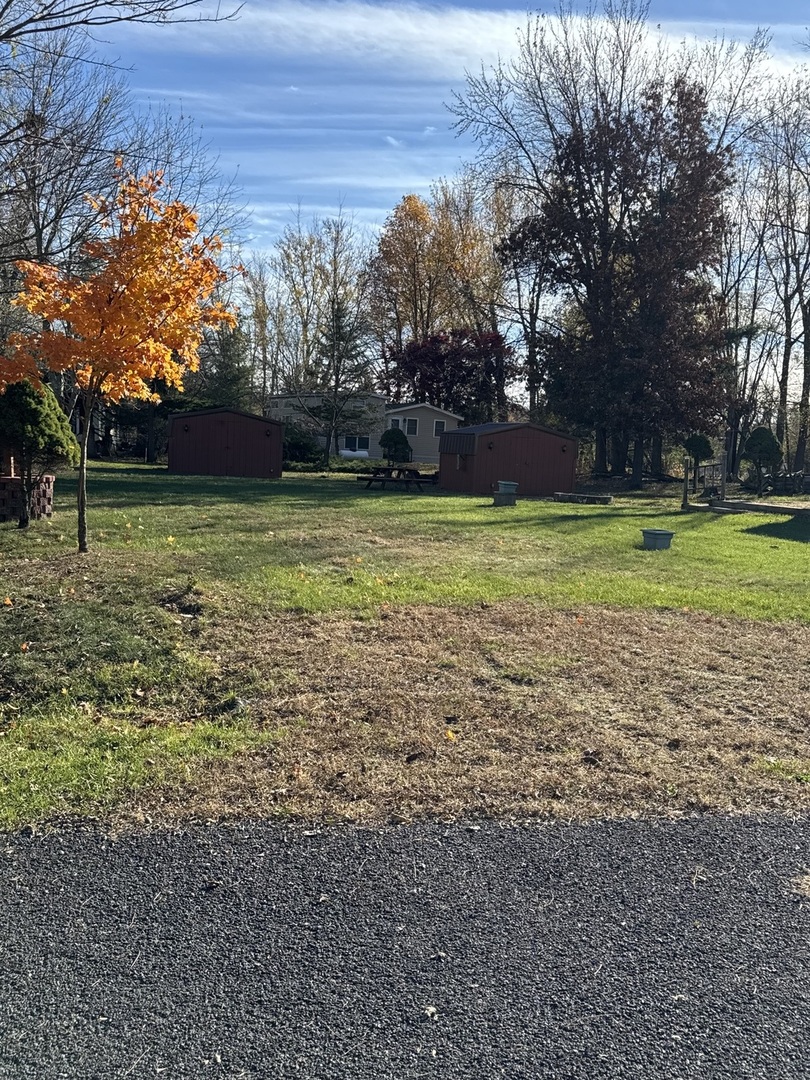 a view of a yard