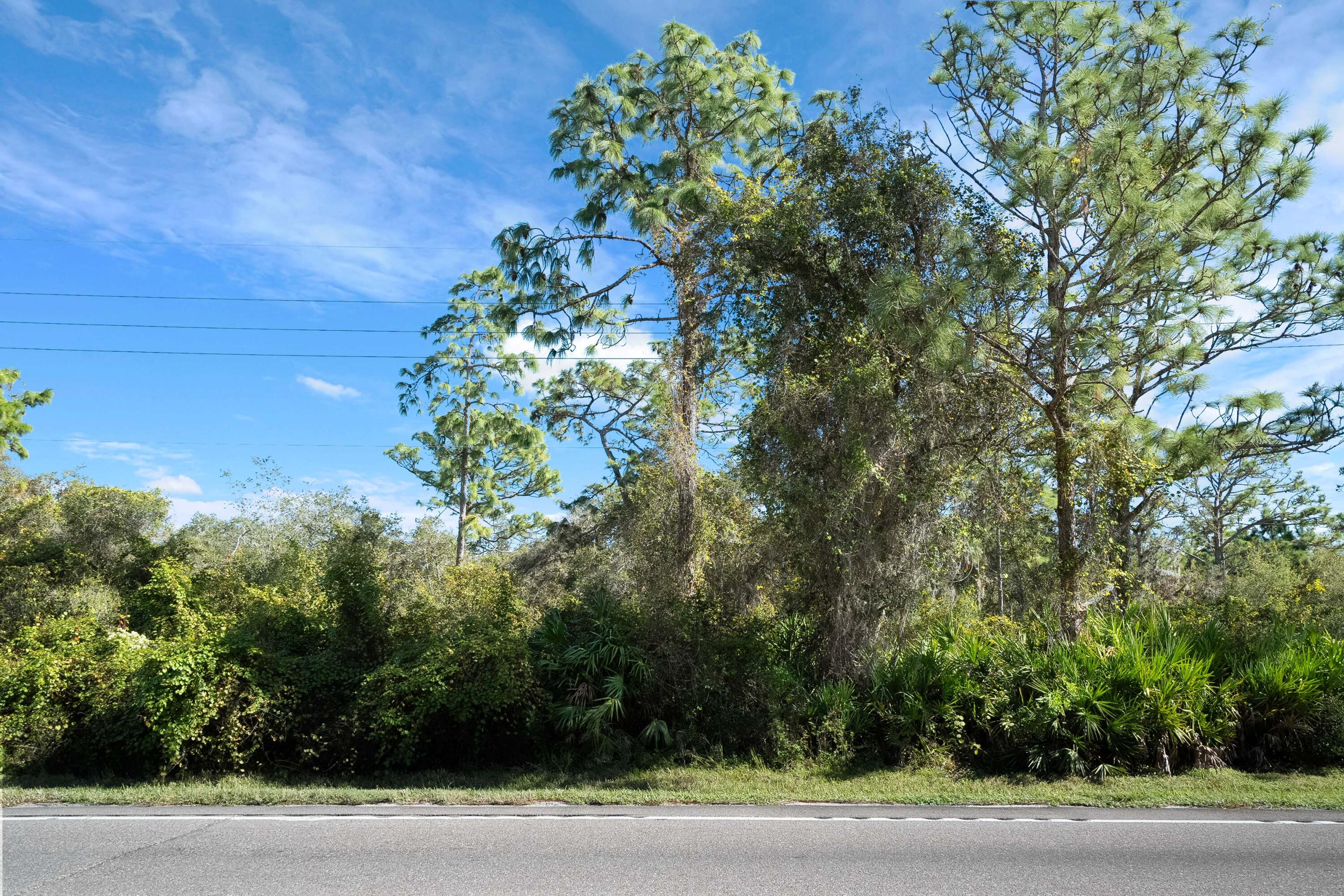 a plant that is sitting in a field