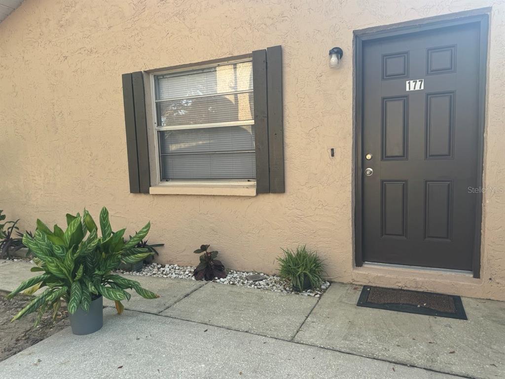 a potted plant in front of a door