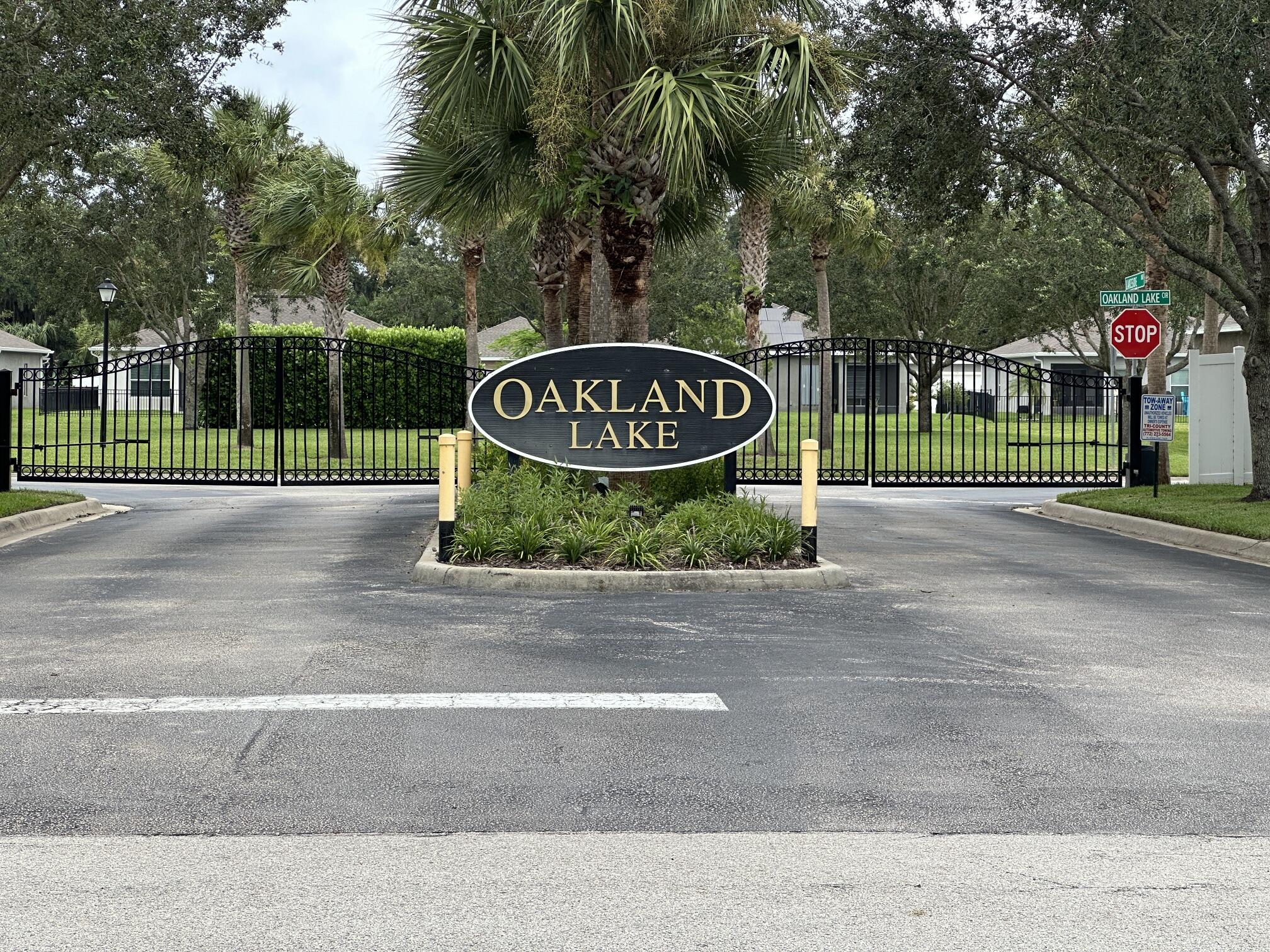 a view of a park with trees and plants