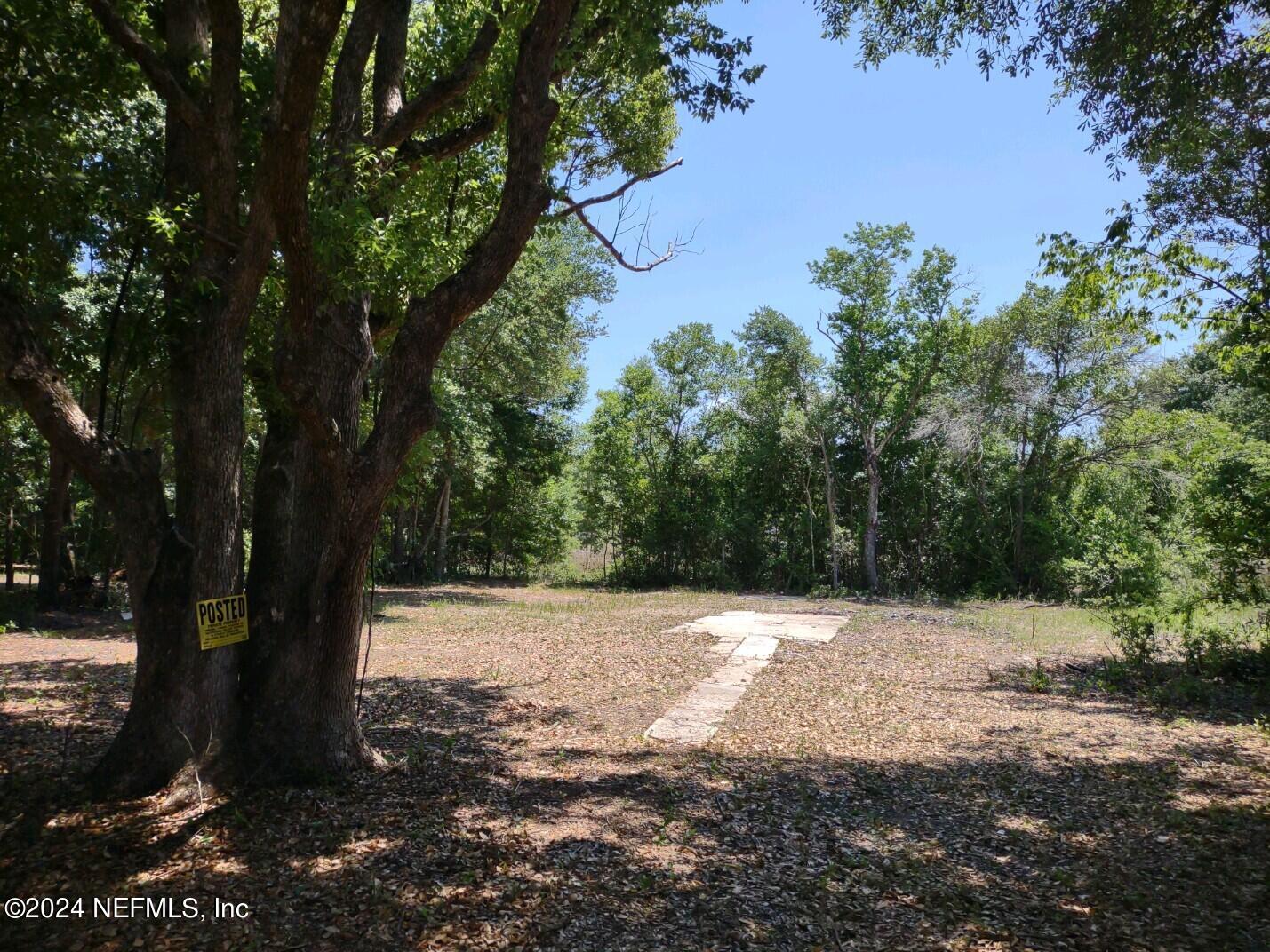 a view of a tree with a yard