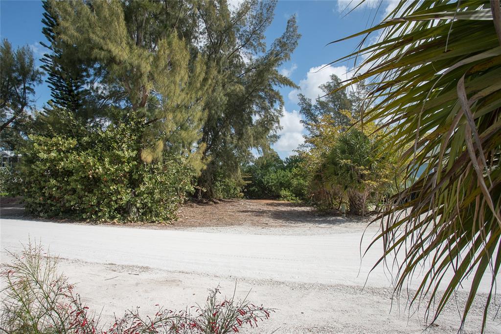 a view of a yard with a tree