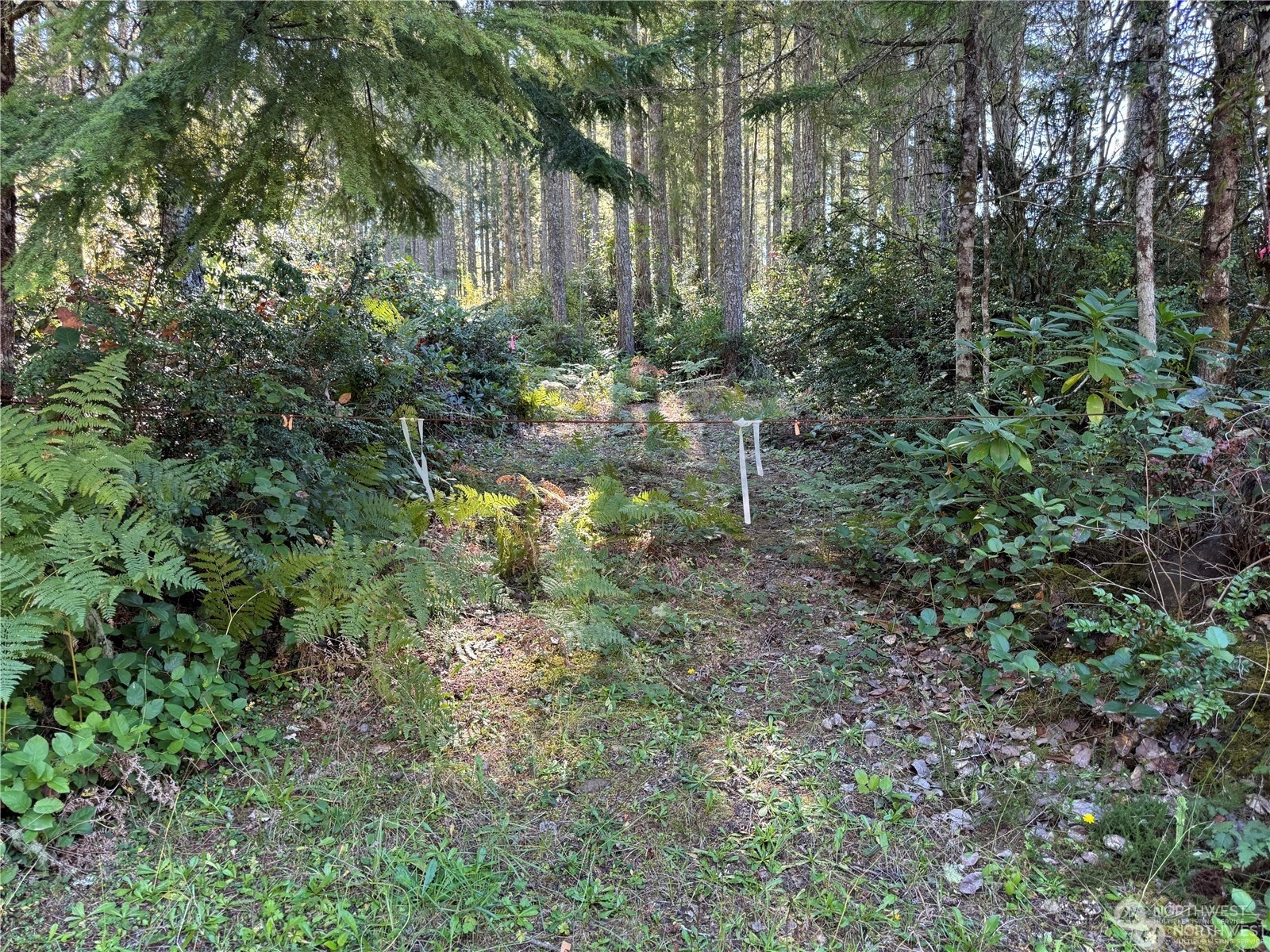 a backyard of a house with lots of green space and forest view