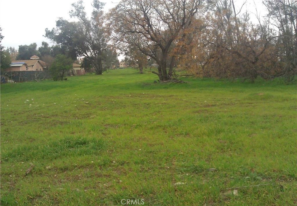 a view of a field with trees