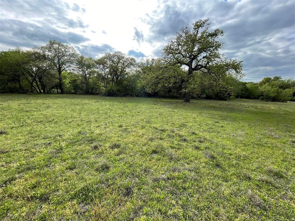 a view of a field with an trees