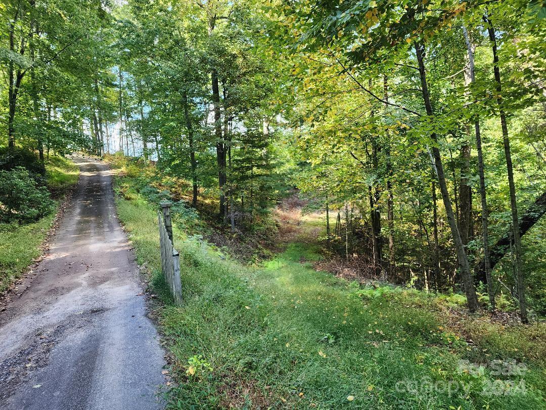 a view of a pathway of a yard