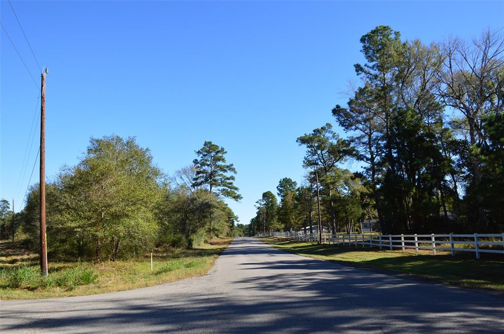 a view of a yard in front of the house