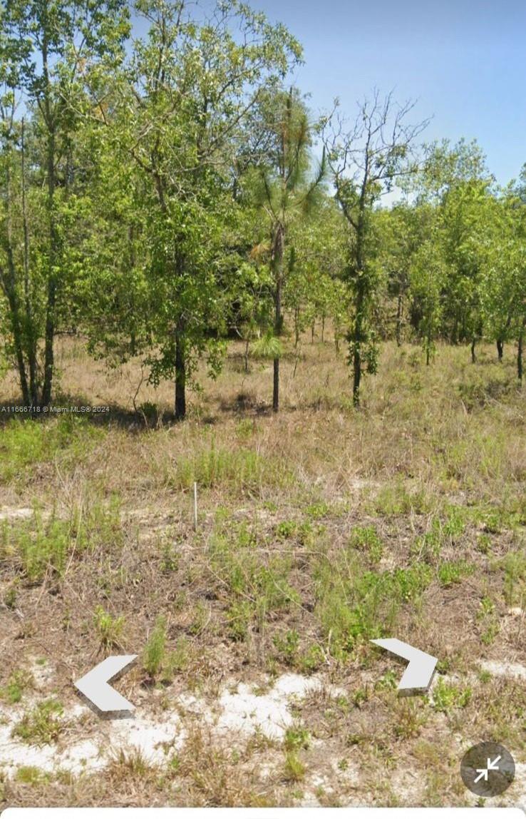 a view of a yard with an trees