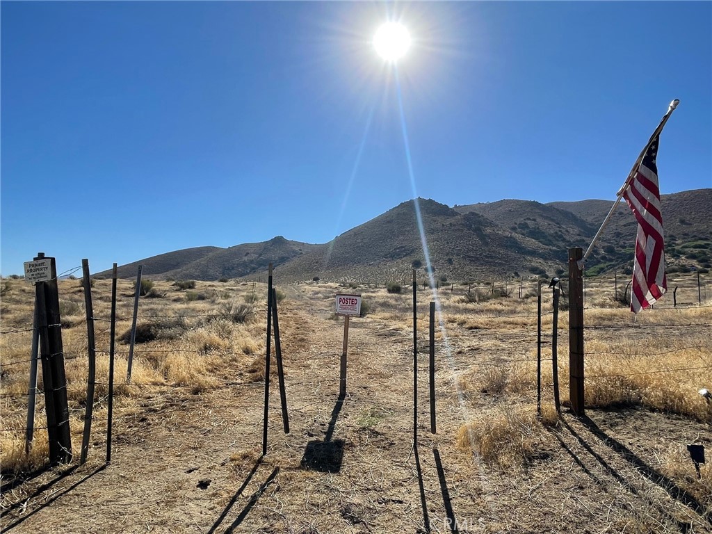 a view of a dry yard with wooden fence