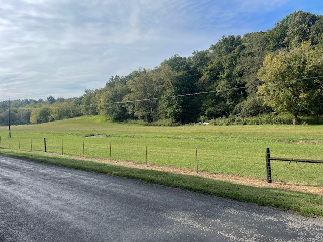 a view of a yard with a wooden fence