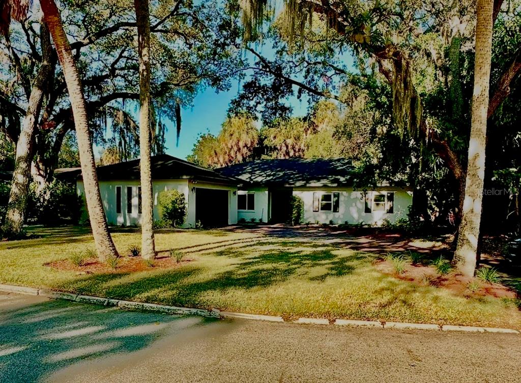 a view of a house with a large tree