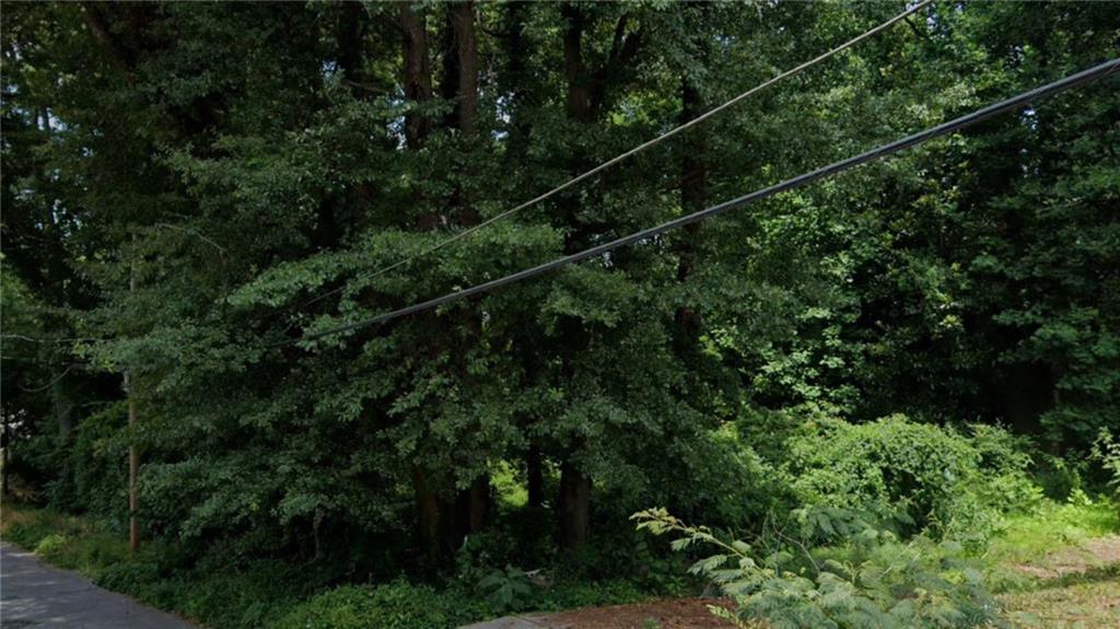 a view of a lush green forest with a tree