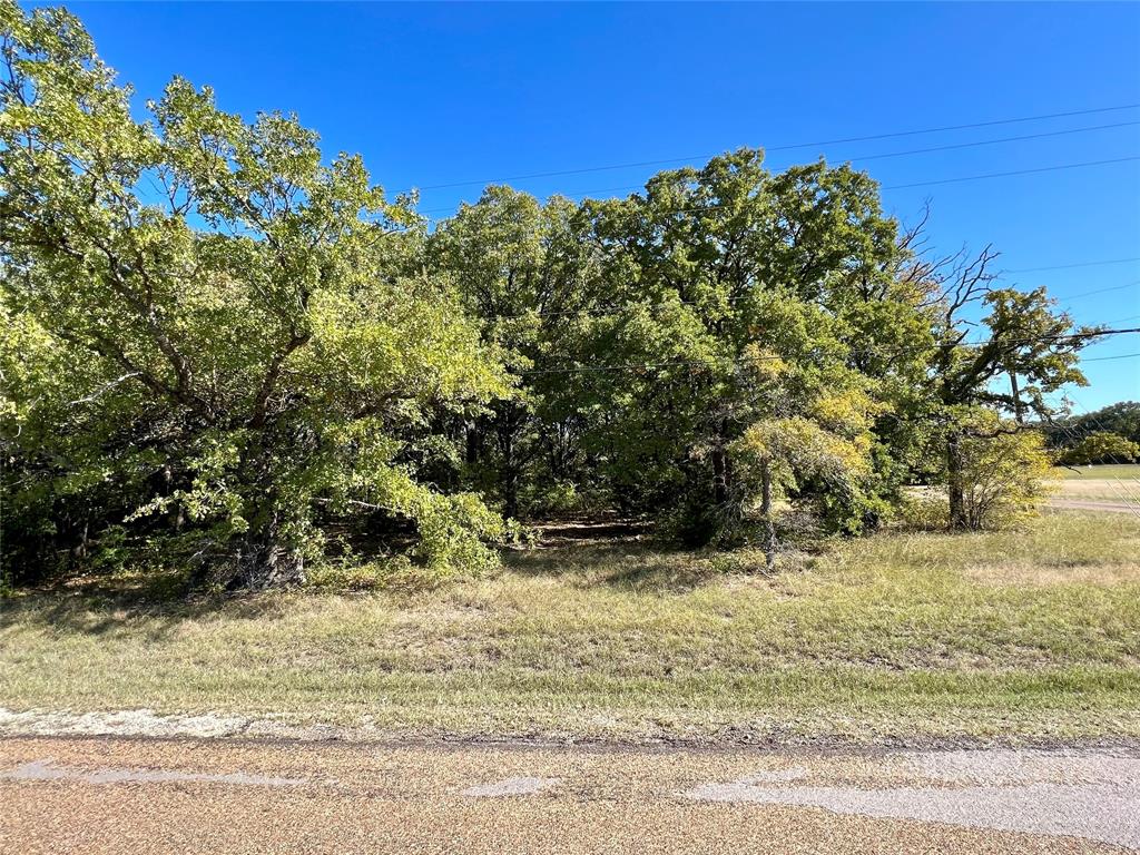 a view of a yard with a tree