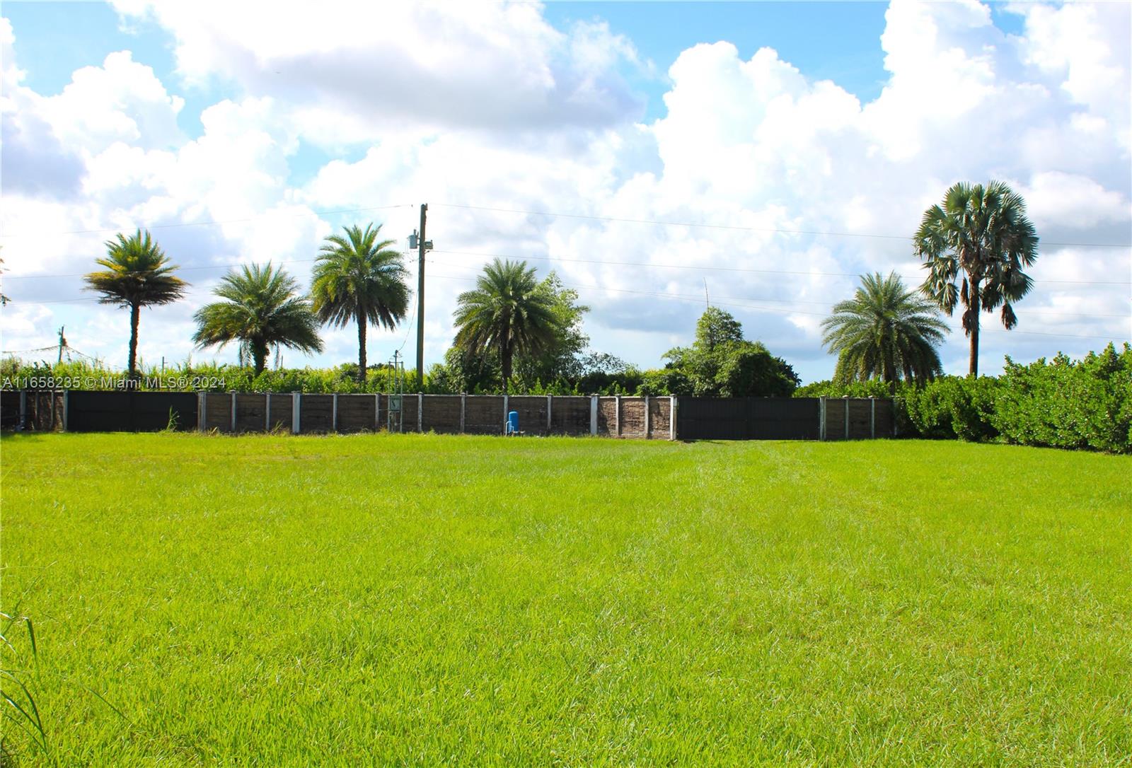 a view of a yard and entertaining space