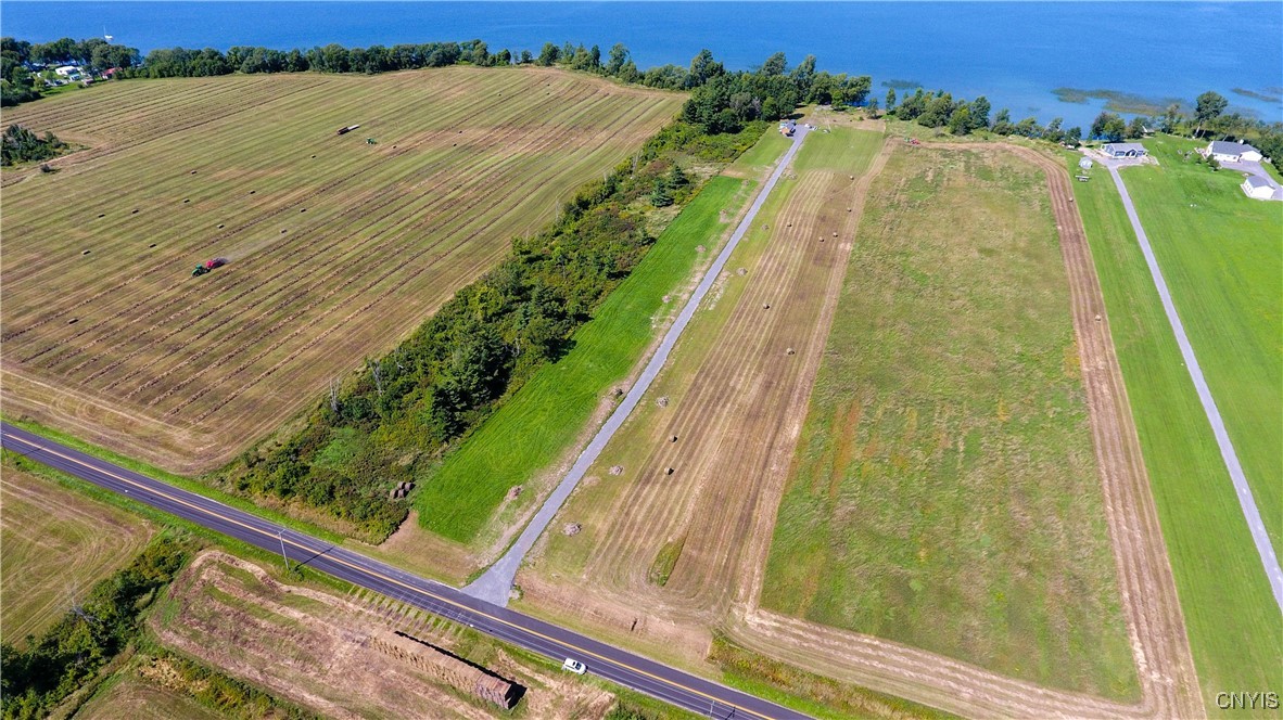 Aerial view of treed lot