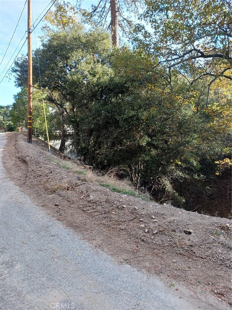 a view of a dirt road with trees