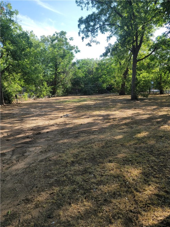 a view of a green field with trees