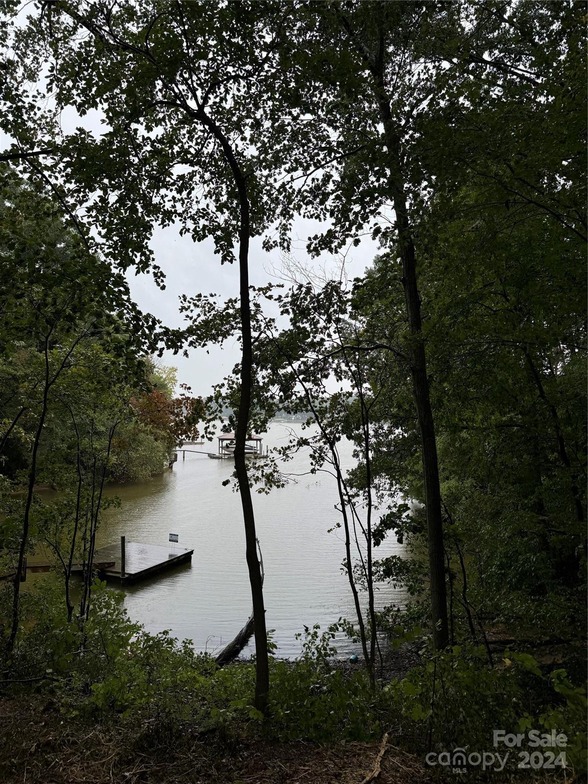 a view of lake with tree