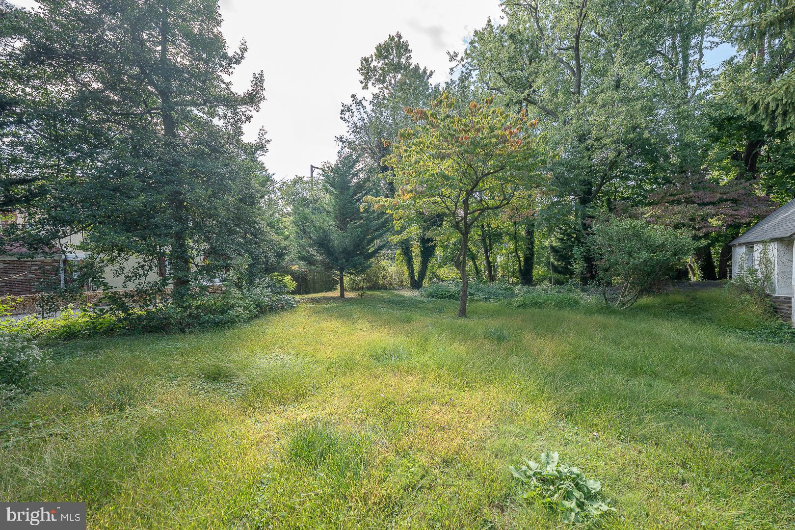 a view of outdoor space with deck and yard