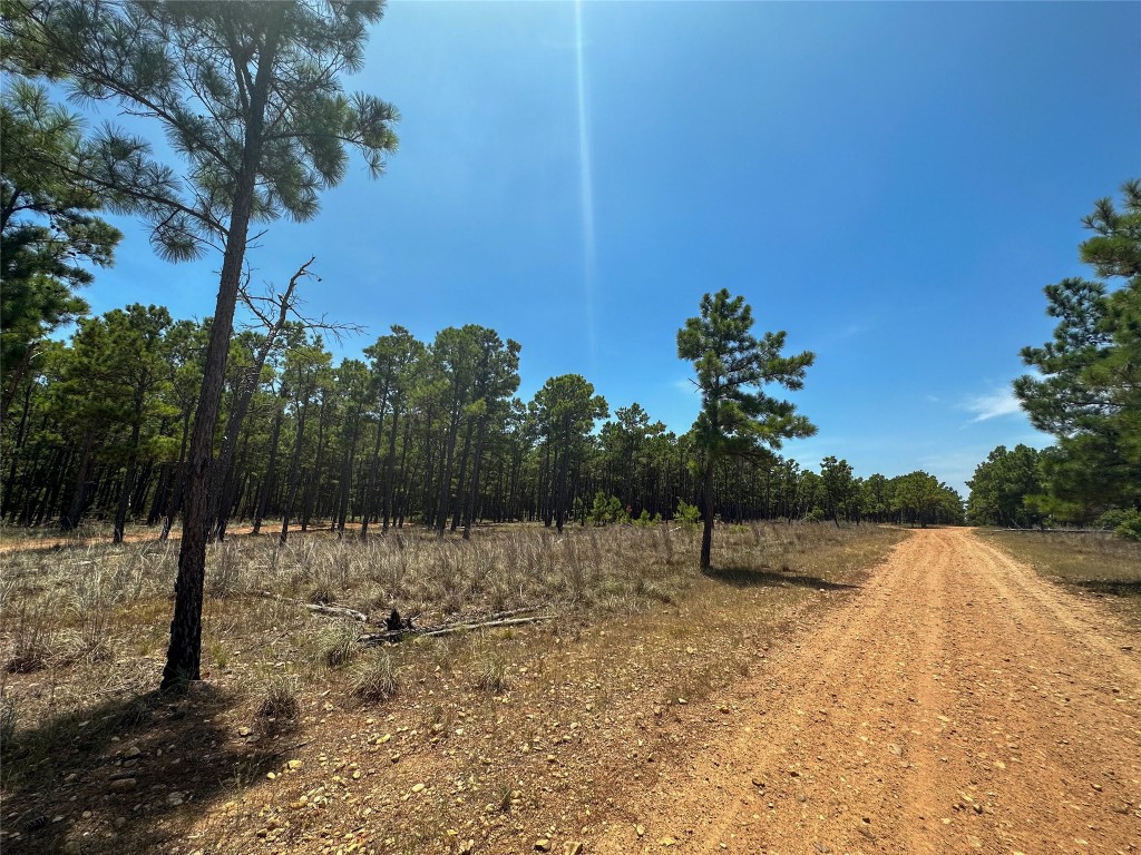 a view of outdoor space with trees