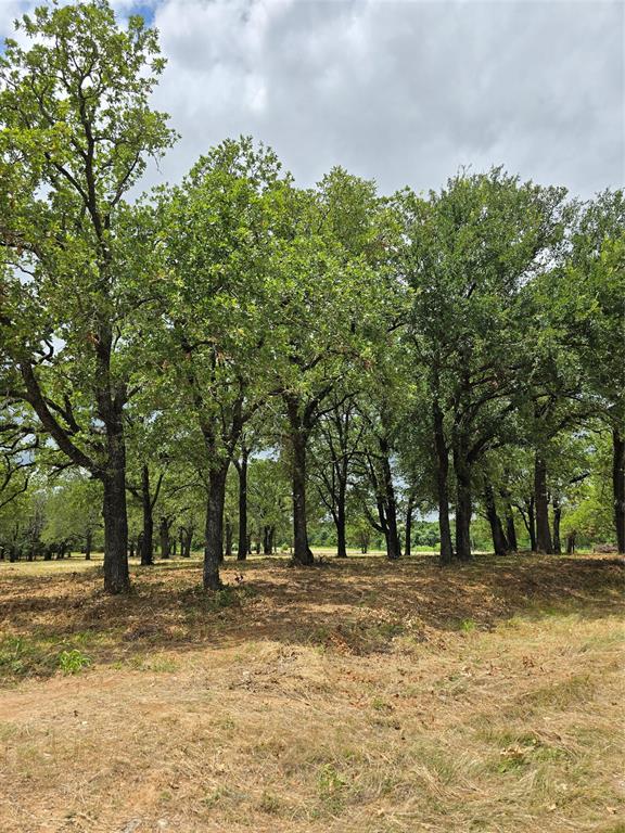 a view of outdoor space with trees