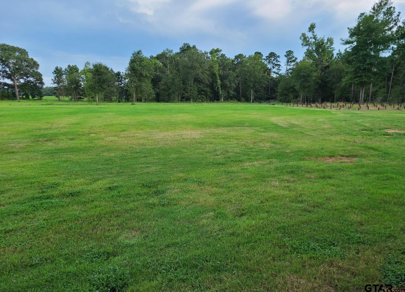 a view of a grassy field with trees