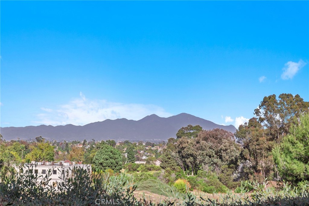 a view of a city with a mountain in the background