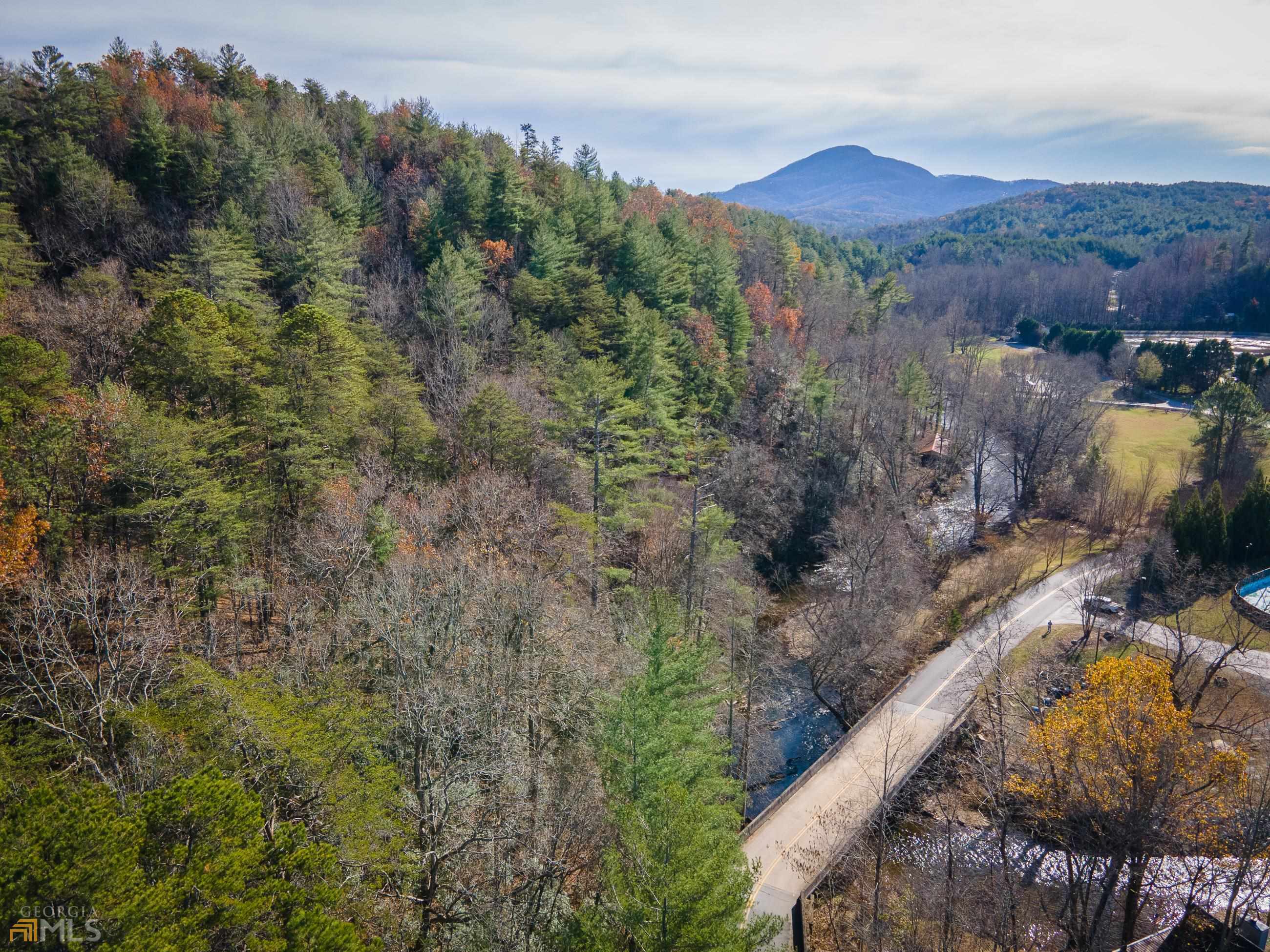 a view of a forest with mountains in the background