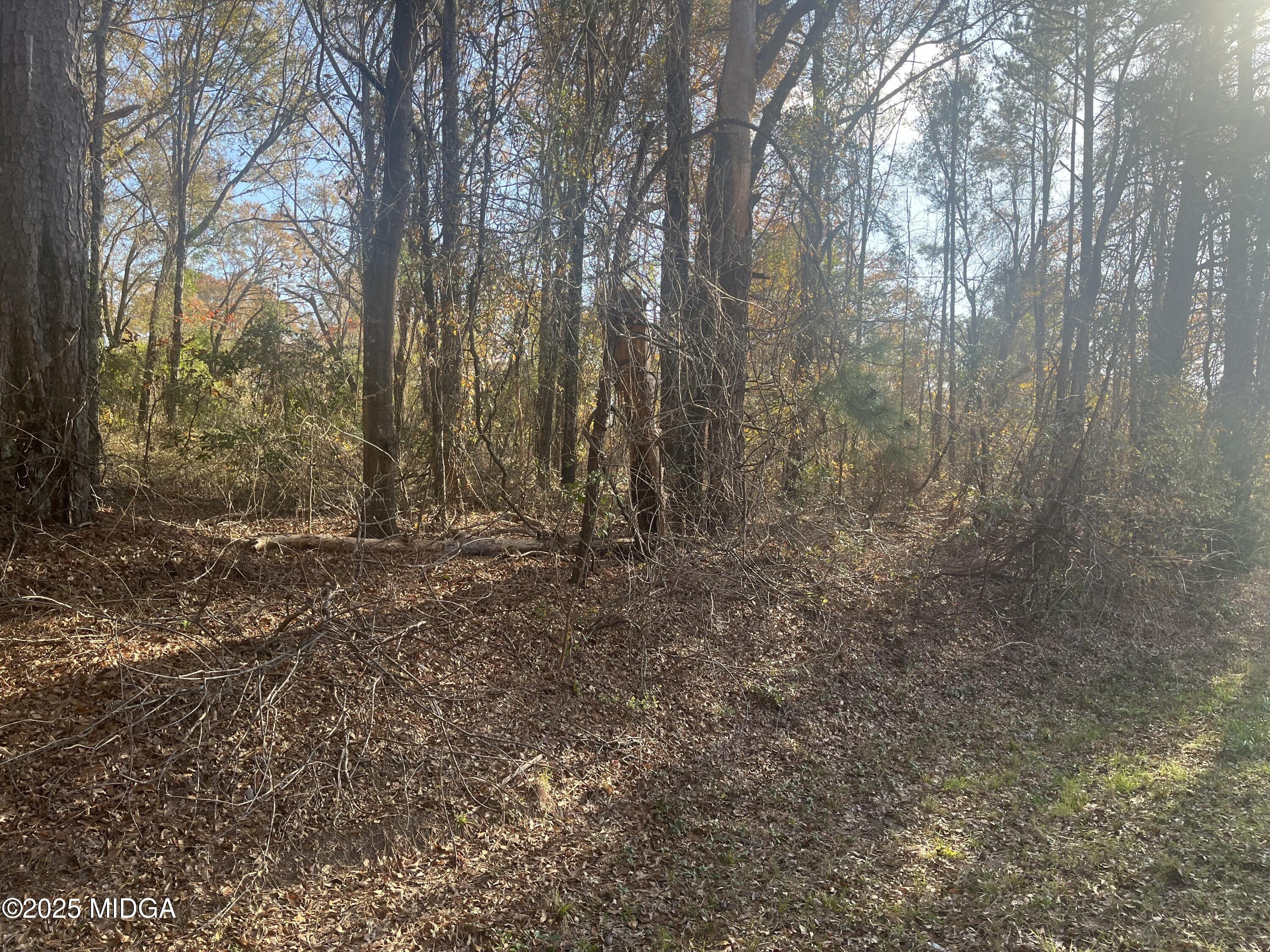 a view of room with trees