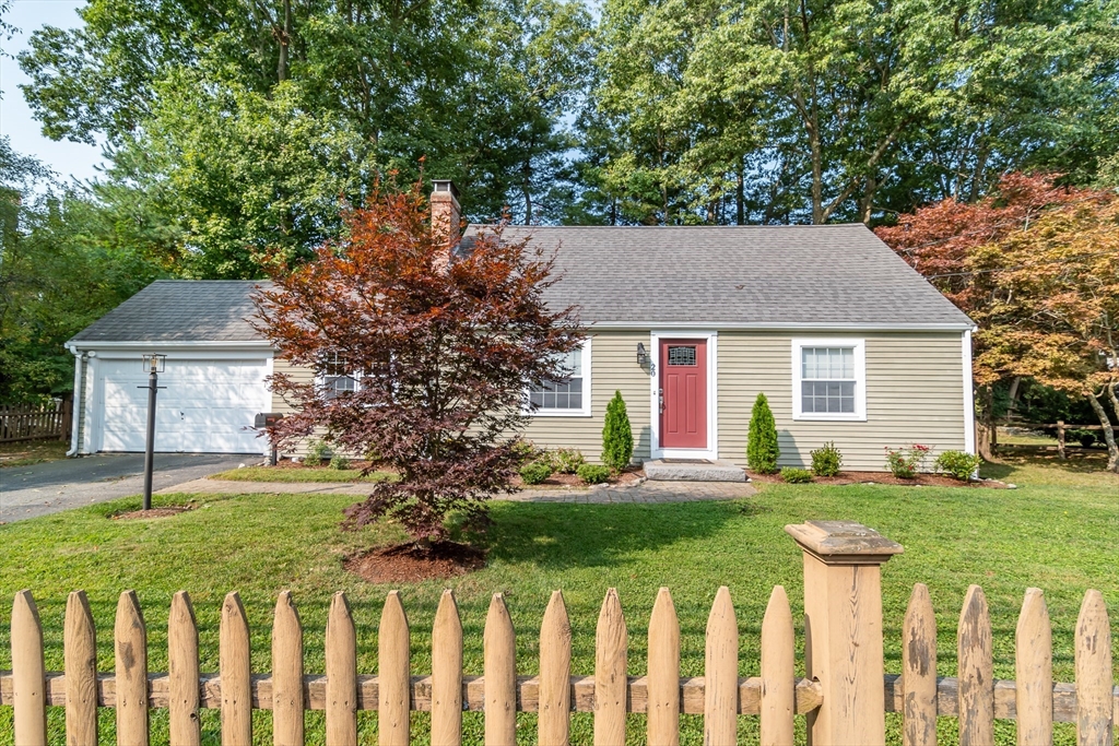 a front view of house with yard and green space