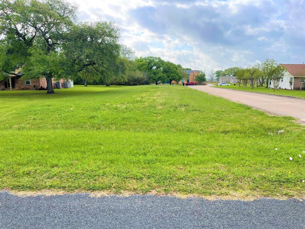 a view of a field of grass and trees