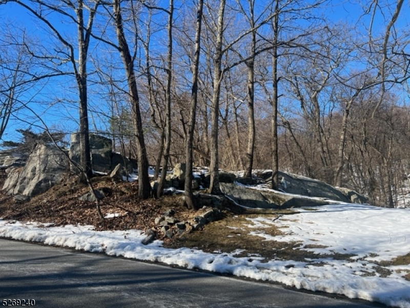 a view of a yard with large trees