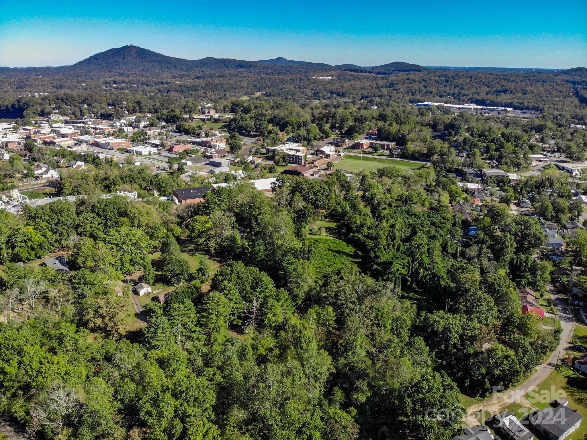 an aerial view of residential house and green space