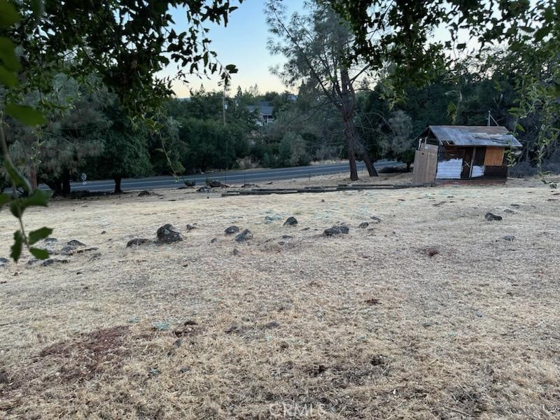 a view of a yard with a tree