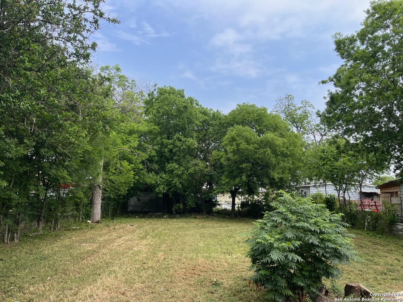 a view of a yard with a tree